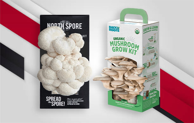 mushroom packaging wholesale